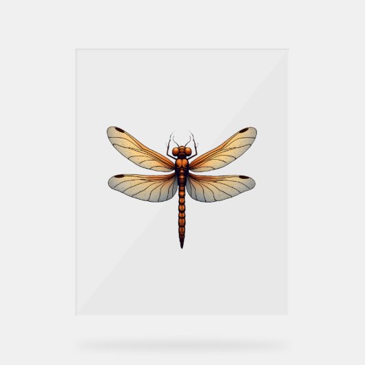 Geweldige Dragonfly kostuum voor jongens en meisje Acryl Bord (Voorkant)