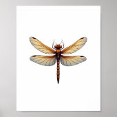 Geweldige Dragonfly kostuum voor jongens en meisje Poster (Voorkant)