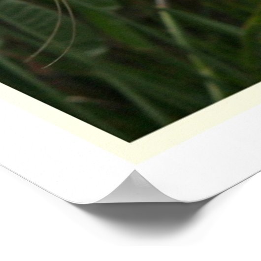 Geweldige druk op de trot poster (Hoek)