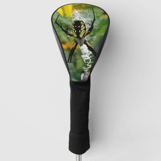 Geweldige Foto Orb Spider op internet Golfheadcover (Voorkant)