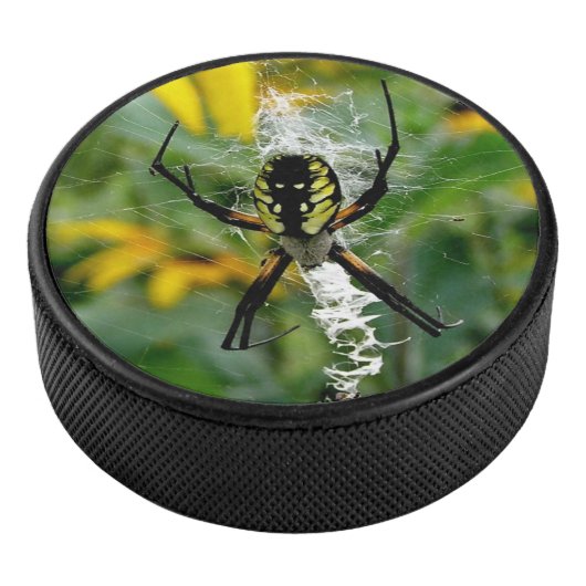 Geweldige Foto Orb Spider op internet Hockey Puck (3/4)