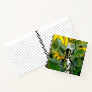 Geweldige Foto Orb Spider op internet Notitieboek