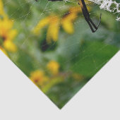 Geweldige Foto Orb Spider op internet Tissuepapier (Detail)