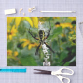 Geweldige Foto Orb Spider op internet Tissuepapier (Craft)