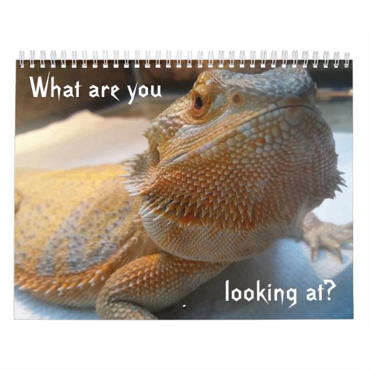 Geweldige FUNNY-kalender voor 2019 Kalender (Hoes)