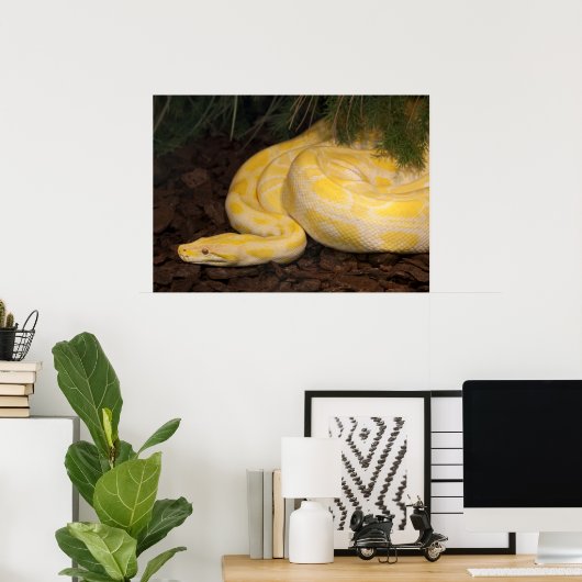Geweldige Gele Birmese Python Poster (Thuiskantoor)
