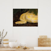 Geweldige Gele Birmese Python Poster (Keuken)