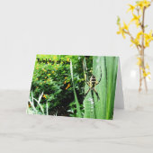 Geweldige gele en zwarte tuinspinfotografie kaart (Gele Bloem)