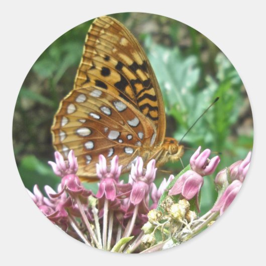 Geweldige gepantserde Fritillary Coordinating Item Ronde Sticker (Voorkant)