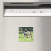 Geweldige giraffen magneet (Insitu (Vaatwasser))
