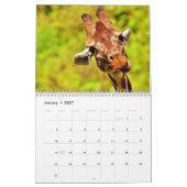 Geweldige Giraffes 2026 Kalender (Jan 2027)