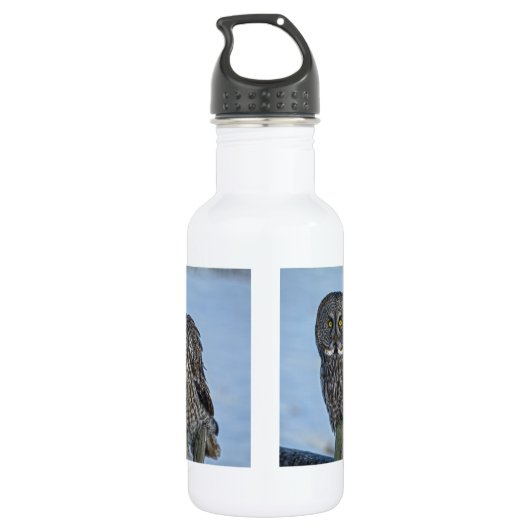 Geweldige grijze boomkorren en sneeuw-wildfoto fot waterfles  (Achterkant)