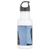 Geweldige grijze boomkorren en sneeuw-wildfoto fot waterfles  (Voorkant)