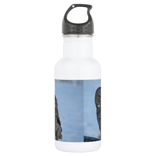 Geweldige grijze boomkorren en sneeuw-wildfoto fot waterfles  (Voorkant)