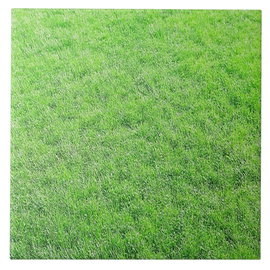 Geweldige groene Tegel Tegeltje (Voorkant)