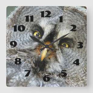 Geweldige Grote Grijze Owl Sluiten Wall Clock Vierkante Klok