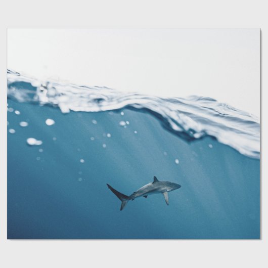 Geweldige haai cadeaupapier (Vlak)