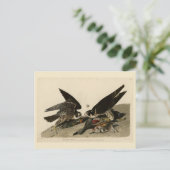 Geweldige Hawk uit de Amerikaanse vogels van Audub Briefkaart (Staand voorkant)