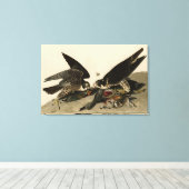 Geweldige Hawk uit de Amerikaanse vogels van Audub Canvas Afdruk (Insitu (Houten vloer))