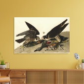 Geweldige Hawk uit de Amerikaanse vogels van Audub Canvas Afdruk (Insitu (Woonkamer))