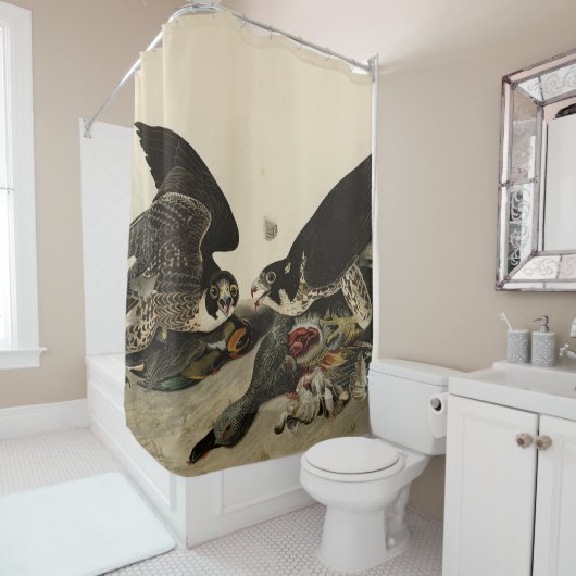 Geweldige Hawk uit de Amerikaanse vogels van Audub Douchegordijn (In situ)