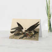 Geweldige Hawk uit de Amerikaanse vogels van Audub Kaart (Voorkant)