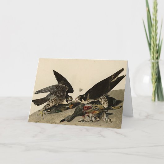 Geweldige Hawk uit de Amerikaanse vogels van Audub Kaart (Voorkant)