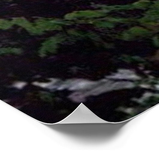 Geweldige Herfsten Poster (Hoek)