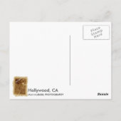 Geweldige Hollywood Briefkaart! Briefkaart (Achterkant)