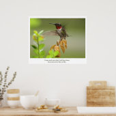 Geweldige Hummingbird Poster (Keuken)