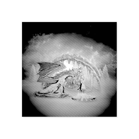 Geweldige ijsdraak rubberstempel (Afrduk)