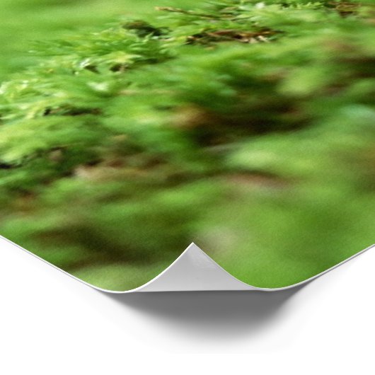 Geweldige Inspirerend Poster afdrukken (Hoek)