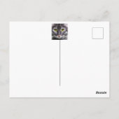 Geweldige kattenportret briefkaart (Achterkant)