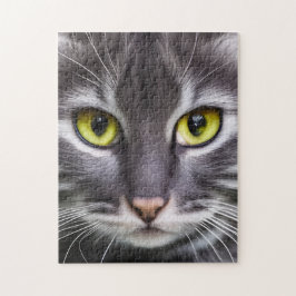 Geweldige kattenportret legpuzzel