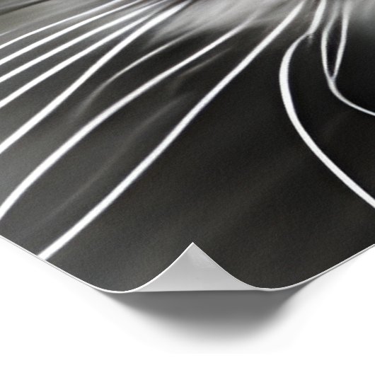 Geweldige kattenportret poster (Hoek)