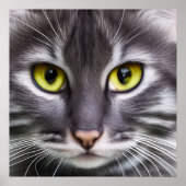 Geweldige kattenportret poster (Voorkant)