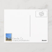 Geweldige Kernville ansichtkaart! Briefkaart (Achterkant)