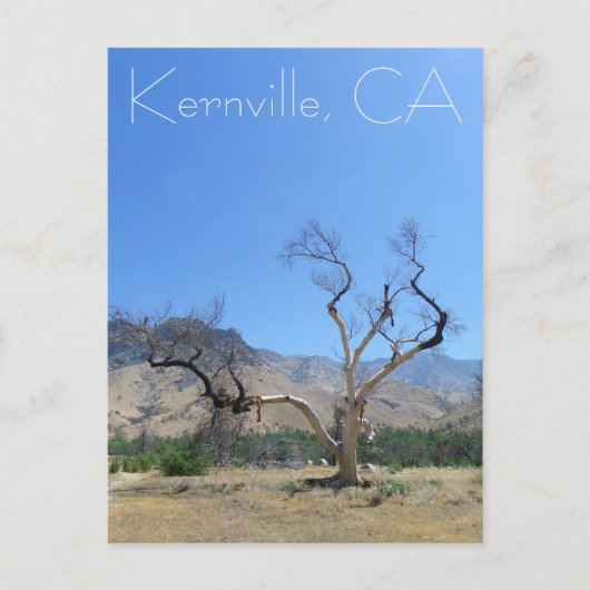 Geweldige Kernville ansichtkaart! Briefkaart (Voorkant)