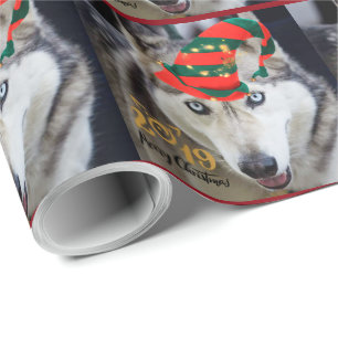 Geweldige kerstblad voor Siberian Husky Cadeaupapier