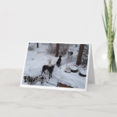 Geweldige kerstkaart kaart (Voorkant)