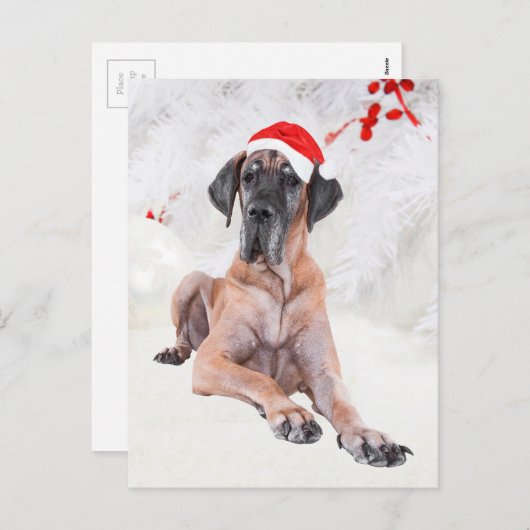 Geweldige kerstmis feestdagenkaart (Voorkant / Achterkant)