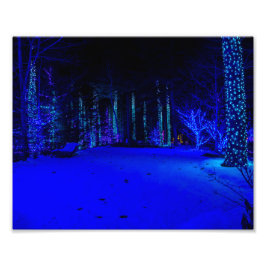 Geweldige kersttijd 8 x 10 Kodak Pro-afdrukken Foto Afdruk