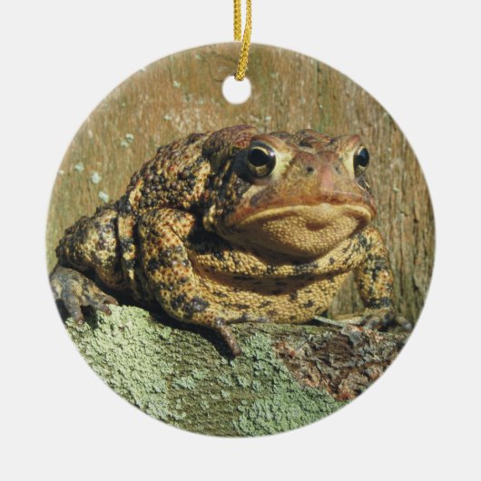Geweldige kerstversiering met Toadly Toadly Keramisch Ornament (Voorkant)