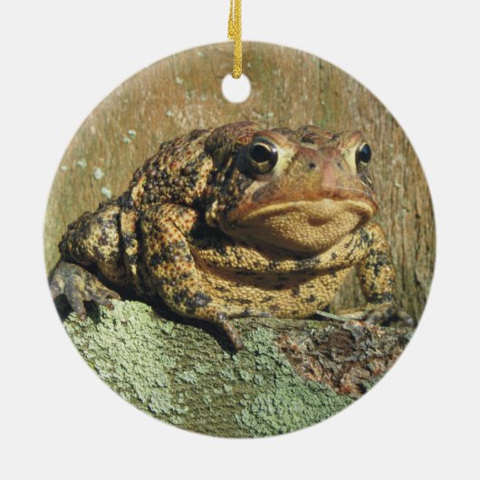 Geweldige kerstversiering met Toadly Toadly Keramisch Ornament (Achterkant)