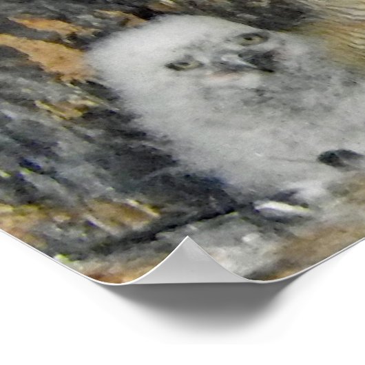 Geweldige kippen met eigenaar poster (Hoek)