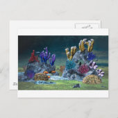 Geweldige koraalrif briefkaart (Voorkant / Achterkant)