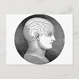 Geweldige Kunst Phrenology hoofd Diagram Briefkaart