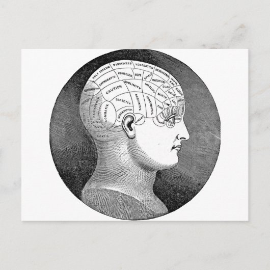 Geweldige  Kunst Phrenology hoofd Diagram Briefkaart (Voorkant)