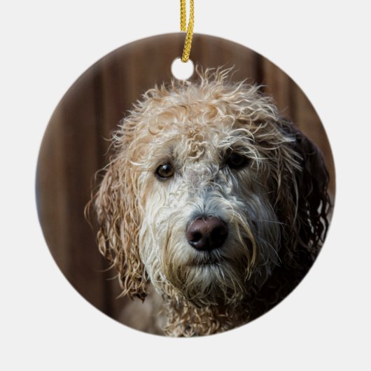 Geweldige Labradoodle Pup-cadeaus Keramisch Ornament (Voorkant)
