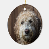 Geweldige Labradoodle Pup-cadeaus Keramisch Ornament (Links)